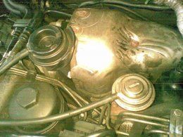 24102011016 Put the heat shield and EGR hose back on