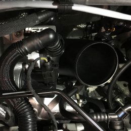 FullSizeRender 2 squashed