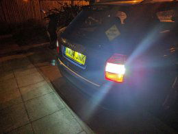 17493207 10155111442194795 5102782151290811278 o