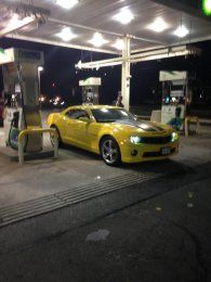 I met bumble bee