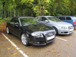 Audi201013 011