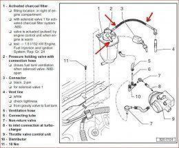 Charcoal canister Tubing.jpg