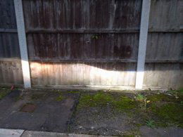 22135414 10155665354014795 6687019012589442746 o