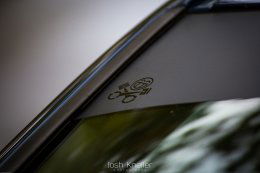 26702205559 159e747fd7 k