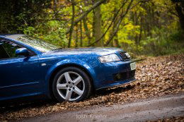 24606288248 0f8152c434 k