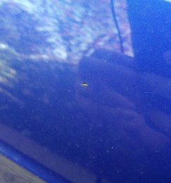 IMG 20180418 16303301