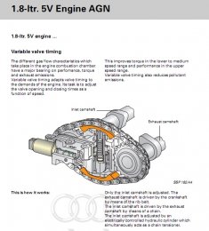agn vvt.jpg