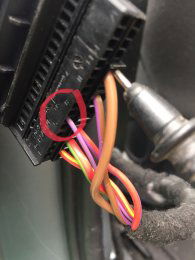 IMG_0791 (Edited).JPG