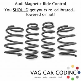 MagRide