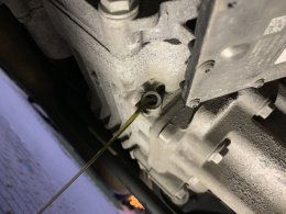 IMG_0404 (Custom).jpg