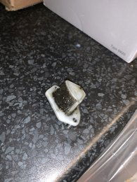 IMG_0411 (Custom).jpg