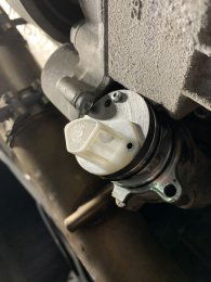 IMG_0415 (Custom).jpg