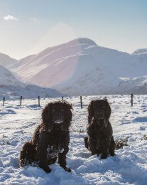 IMG 20190202 200347 947