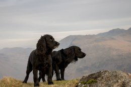 IMG 20190224 203154 779