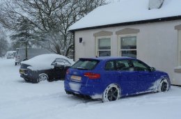 SNOW BLUEY 749