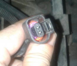 WhatsApp Image 2019-04-24 at 12.42.47.jpeg