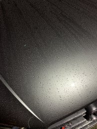 IMG_2740 - Copy.JPEG