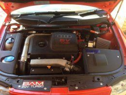 1540556 10153963379870089 18316407 o