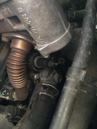 78924736 1140540799626017 7516834320149905408 n