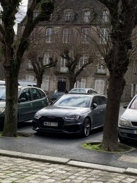 IMG_5505.jpeg