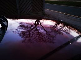 IMG 20200328 184648 copy 1459x1094 1