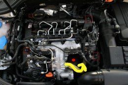 ImageUploadedByTapatalk1397297134055796