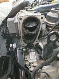 20200707 122600 resized 1