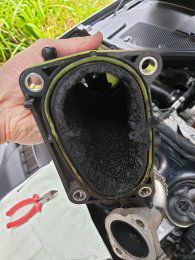 20200707 122620 resized 1