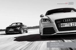2017 TTRS Price Guide 0