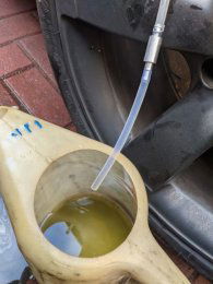 flush resized.jpg