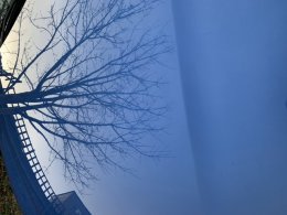 AA60AA06-4EE7-4F51-A52C-372039C20C17.jpeg