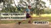 Forrest 934x