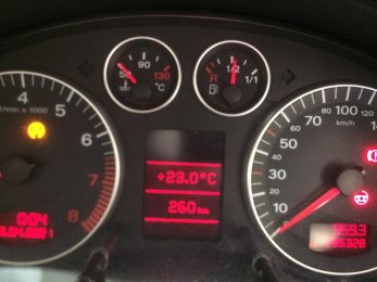 177362955_1173715223088459_2550039511809716645_n.jpg