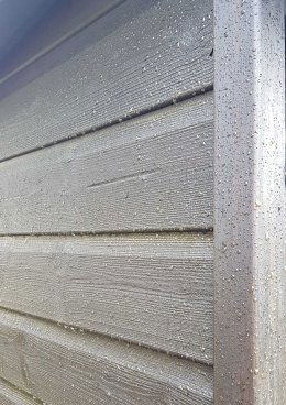 Shed beads
