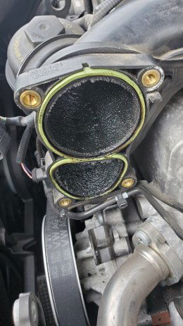 DSf Swirl Flap Bf Clean.jpg