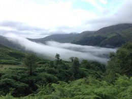 Mist