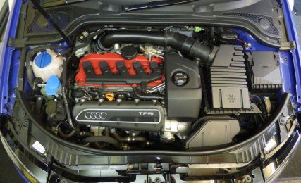 BLUEY Lump   10 YEARS ON