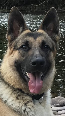 View recent photos[10715].jpg