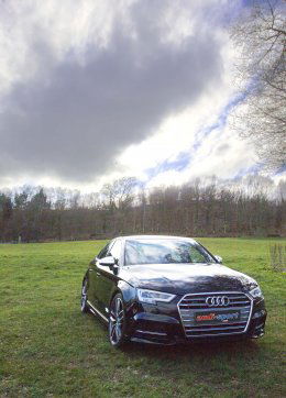 Betty Trentham s Betty Trentham s