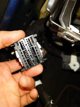 20220406_114342.JPG