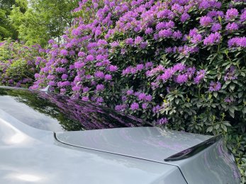 FBAFF4CB 87D6 441B 8306 47FDFE6C267D