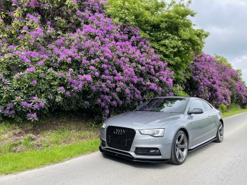 1AC776E7 1CD1 4CE4 956C F2155B559FB2