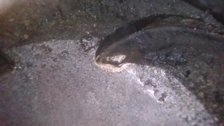 PICT0012.jpg