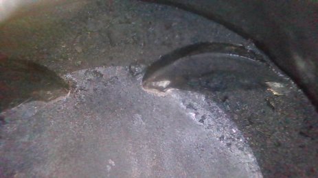 PICT0013.jpg