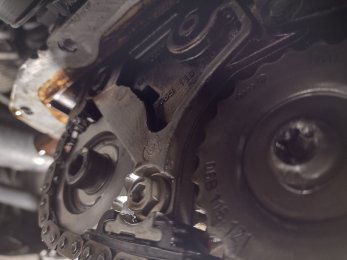 Balance shaft freewheel fitted