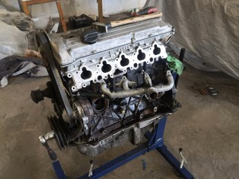 IMG_20220618_161525.jpg