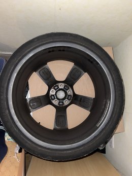 IMG_3478.jpeg