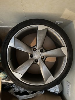 IMG_3479.jpeg