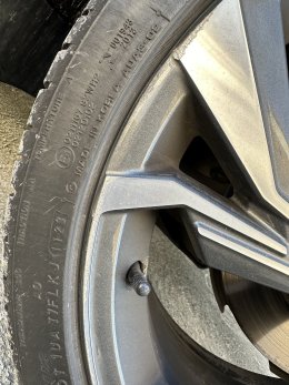 IMG_0995.jpeg