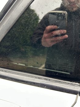 IMG_3733.jpeg